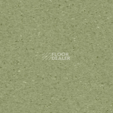 Линолеум Tarkett iQ Granit FERN 0405 фото 1 | FLOORDEALER